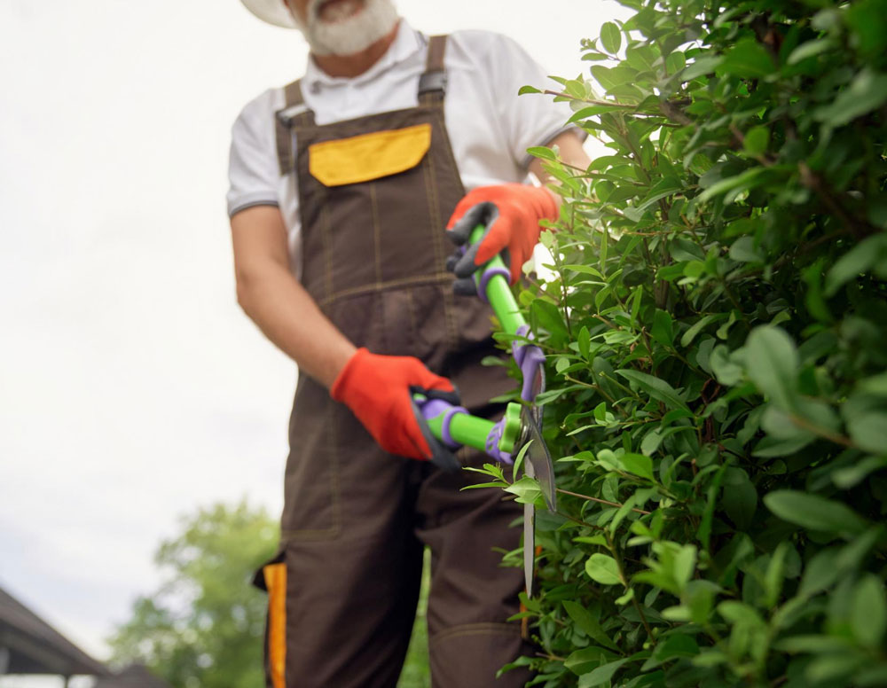 Garden Waste Removal
